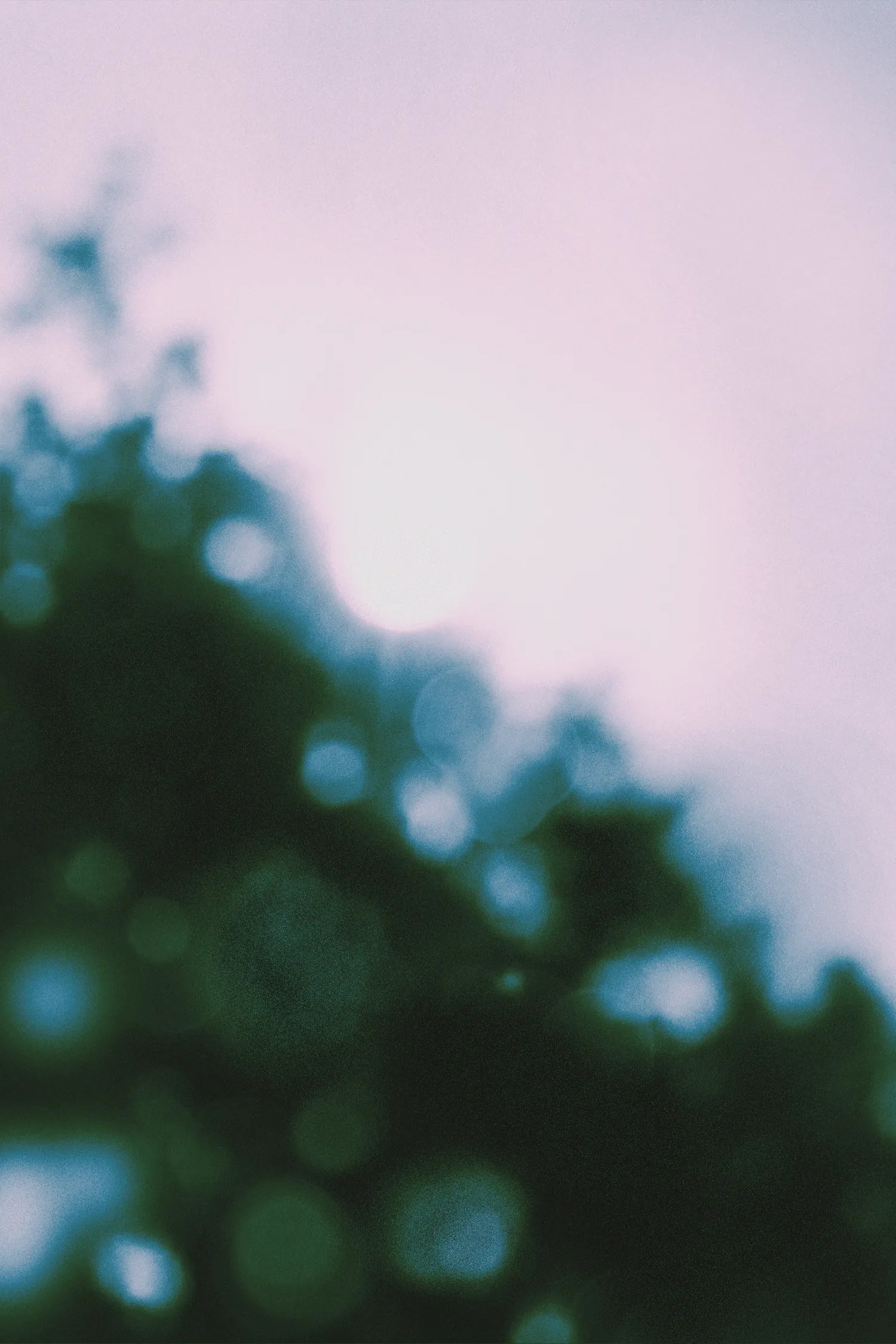 Still Mode environment