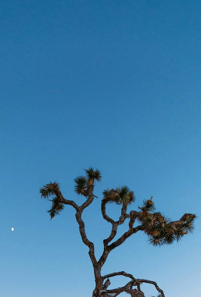5-minute breathwork